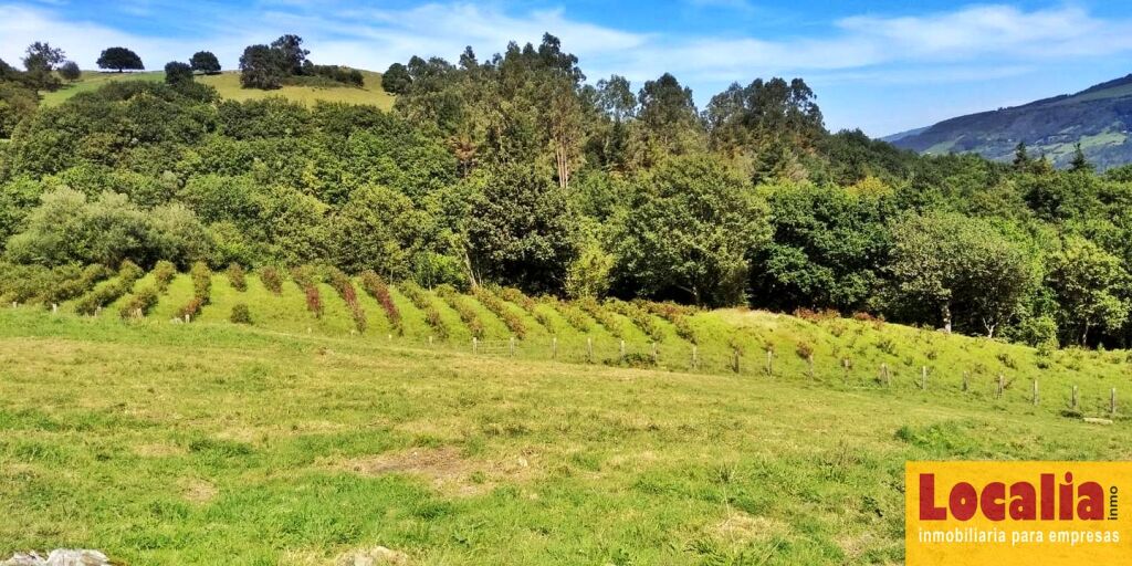 Imagen 1 de Finca rústica con cabaña y bosque autóctono