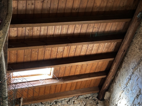 Imagen 3 de Casa de pueblo en Venta en Peñamellera Alta Asturias