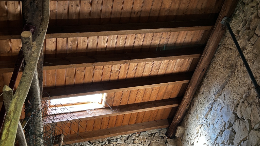 Imagen 3 de Casa de pueblo en Venta en Peñamellera Alta Asturias