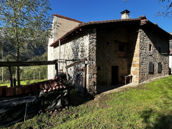 Imagen 1 de Casa de pueblo en Venta en Peñamellera Alta Asturias