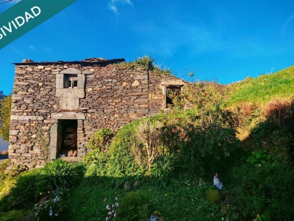 Imagen 2 de Oportunidad única: Dos fincas adyacentes en El Franco (Asturias)