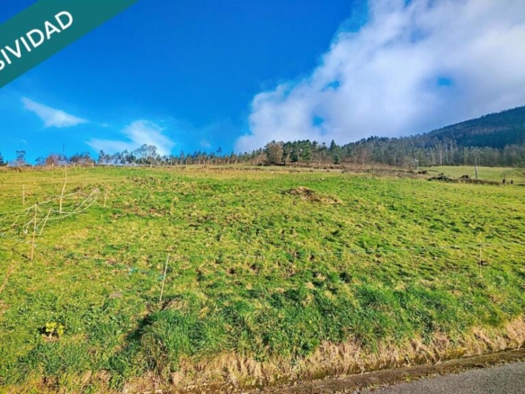Imagen 3 de Oportunidad única: Dos fincas adyacentes en El Franco (Asturias)