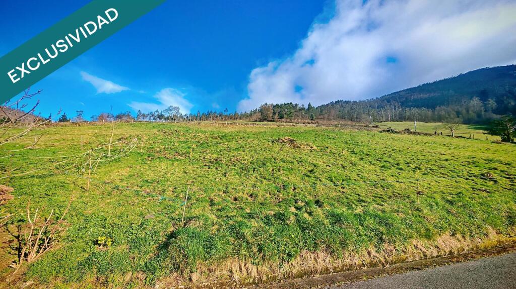 Imagen 3 de Oportunidad única: Dos fincas adyacentes en El Franco (Asturias)