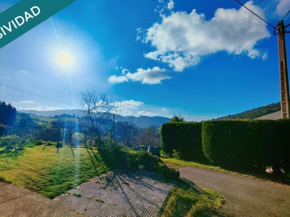 Imagen 4 de Oportunidad única: Dos fincas adyacentes en El Franco (Asturias)