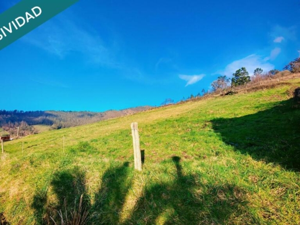 Imagen 1 de Oportunidad única: Dos fincas adyacentes en El Franco (Asturias)