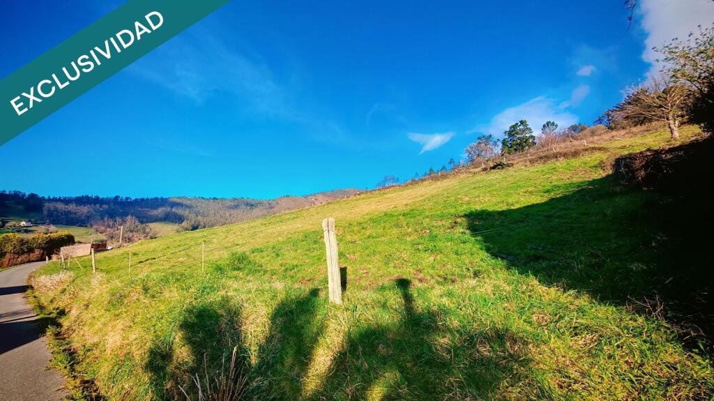 Imagen 1 de Oportunidad única: Dos fincas adyacentes en El Franco (Asturias)