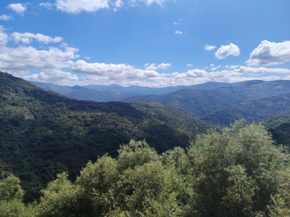 Imagen 2 de Casa de pueblo en Venta en Benalauria Málaga