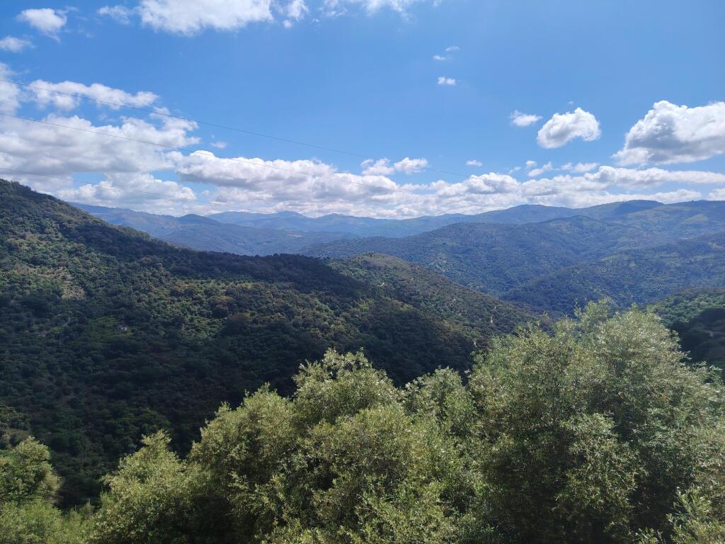 Imagen 2 de Casa de pueblo en Venta en Benalauria Málaga