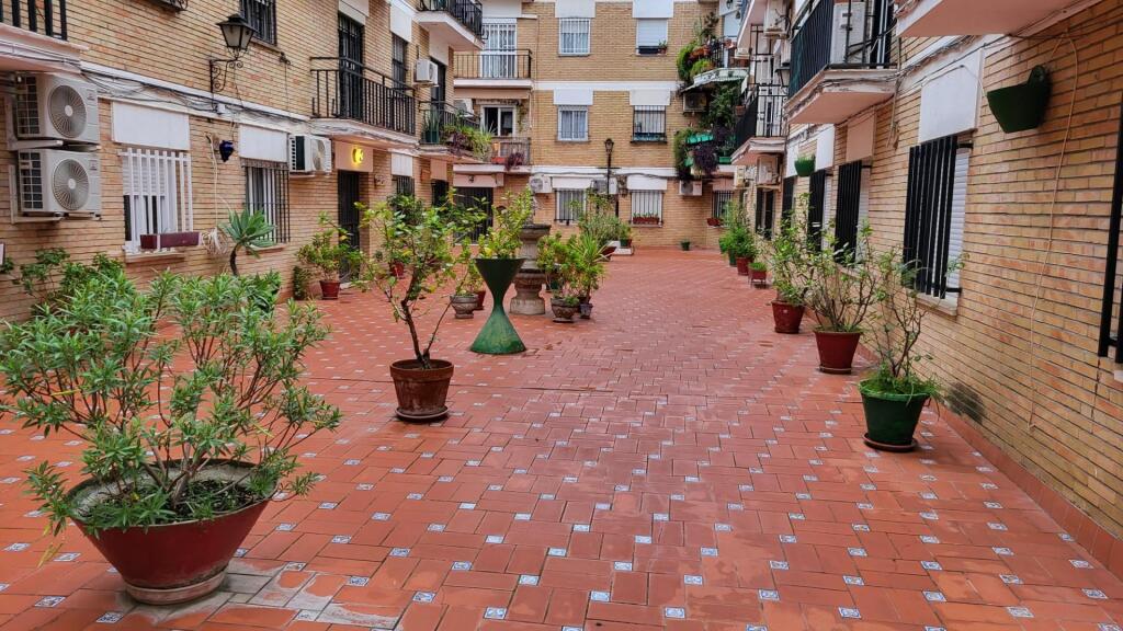 Imagen 1 de Amplio piso junto Plaza de San Lorenzo con terraza!!!