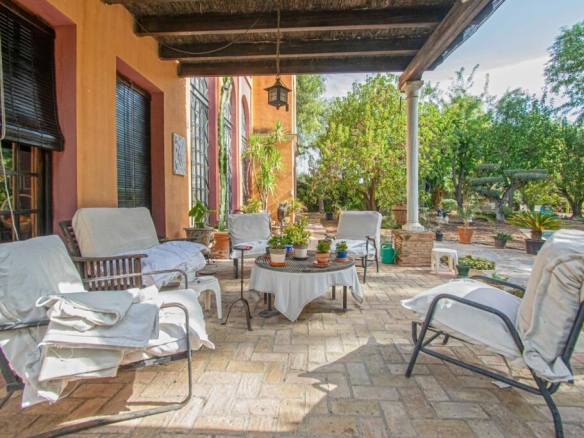 Imagen 4 de ESPECTACULAR FINCA EN CARRETERA MAIRENA - ALMENSILLA !!!