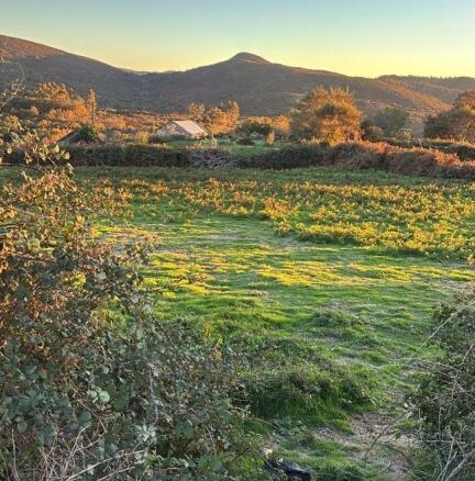 Imagen 1 de PARCELA EN LAMA