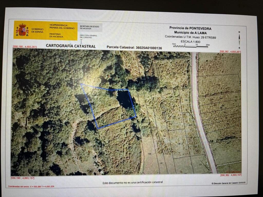 Imagen 2 de PARCELA EN LAMA