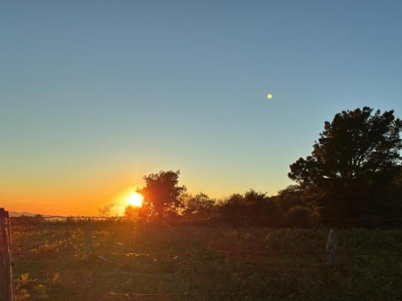 Imagen 1 de PARCELA EN LAMA