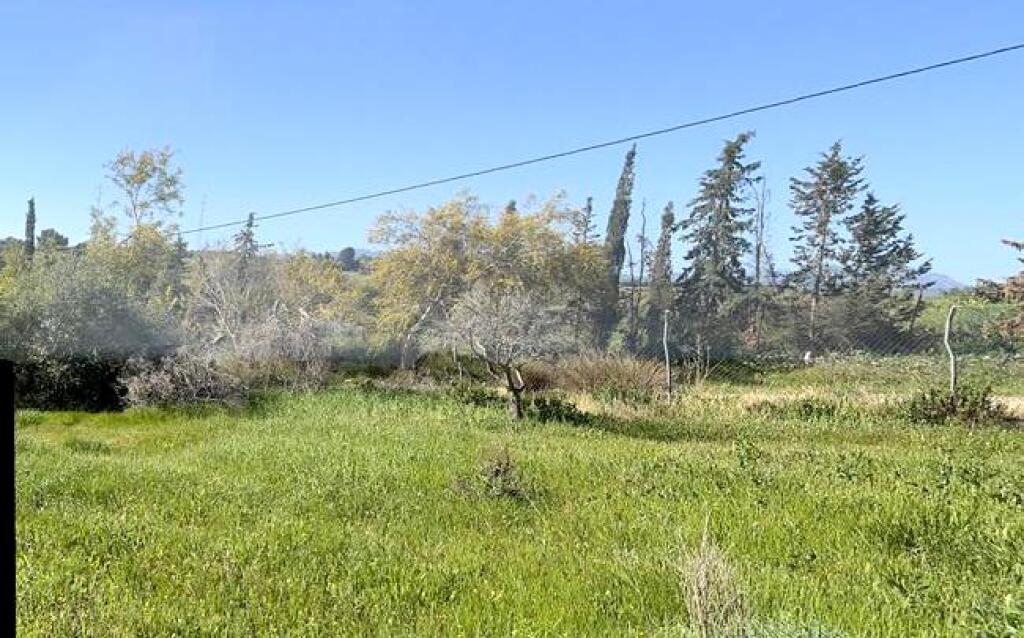 Imagen 2 de ¡OPORTUNIDAD! FINCA RÚSTICA DE 5043M2 DE REGADIO EN CÁRTAMA