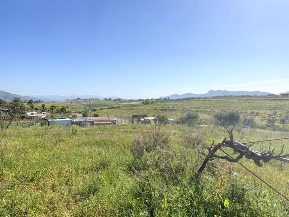 Imagen 1 de ¡OPORTUNIDAD! FINCA RÚSTICA DE 5043M2 DE REGADIO EN CÁRTAMA