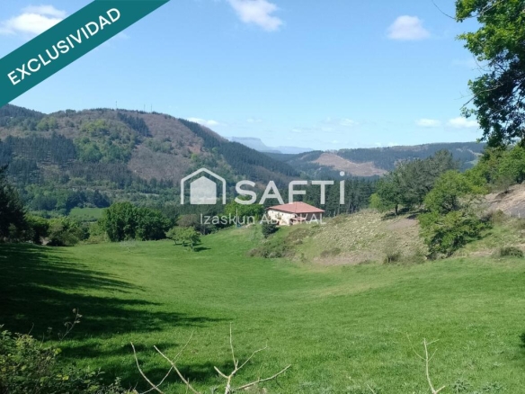 en un entorno único