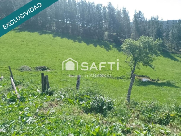 Imagen 2 de Finca rústica en Baranbio