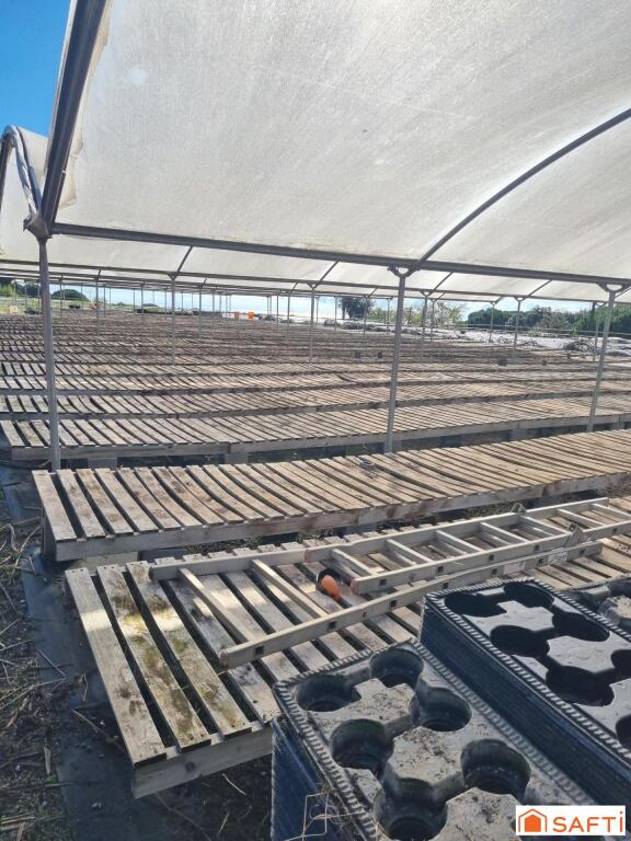 Imagen 2 de Finca Rustica Agrícola en Sant Cebria de Vallalta Imagen 2 de Finca Rustica Agrícola en Sant Cebria de Vallalta