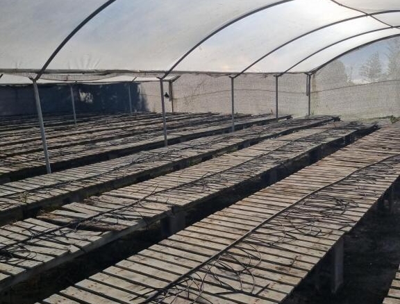 Imagen 3 de Finca Rustica Agrícola en Sant Cebria de Vallalta