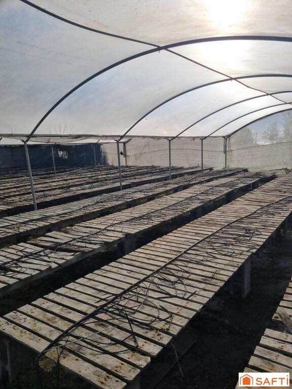 Imagen 3 de Finca Rustica Agrícola en Sant Cebria de Vallalta Imagen 3 de Finca Rustica Agrícola en Sant Cebria de Vallalta