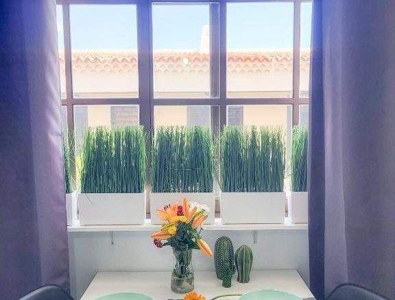 Imagen 3 de Apartamento en venta en el corazón de Los Cristianos