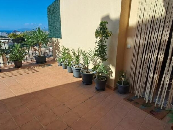 Águilas - ¡Listo para Entrar a Vivir!