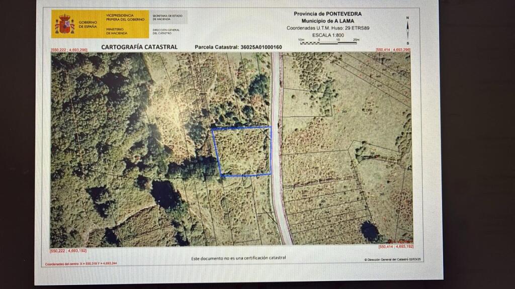 Imagen 1 de PARCELA EDIFICABLE EN A LAMA