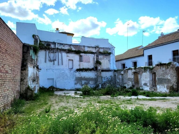 Imagen 1 de Estupendo solar en venta en Écija