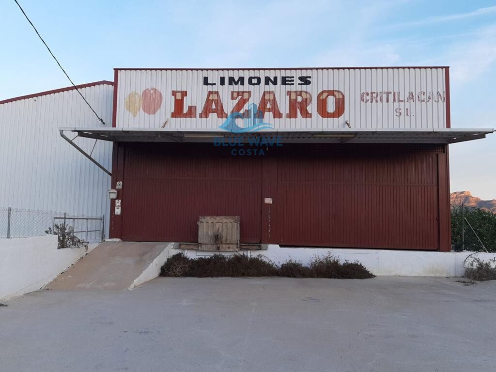 Imagen 2 de Nave Industrial en Beniel Imagen 2 de Nave Industrial en Beniel