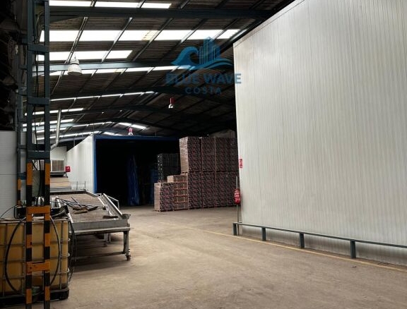 Imagen 2 de Nave Industrial en Ramos