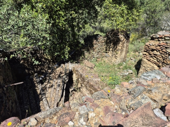 Imagen 3 de Casa de campo-Masía en Venta en Atajate Málaga