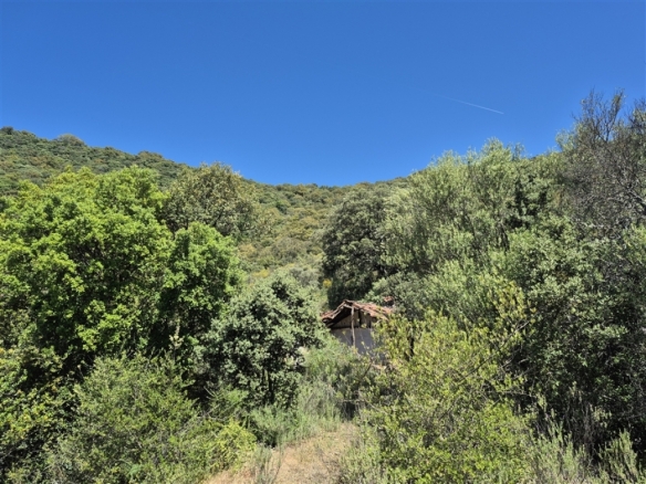 Imagen 4 de Casa de campo-Masía en Venta en Atajate Málaga