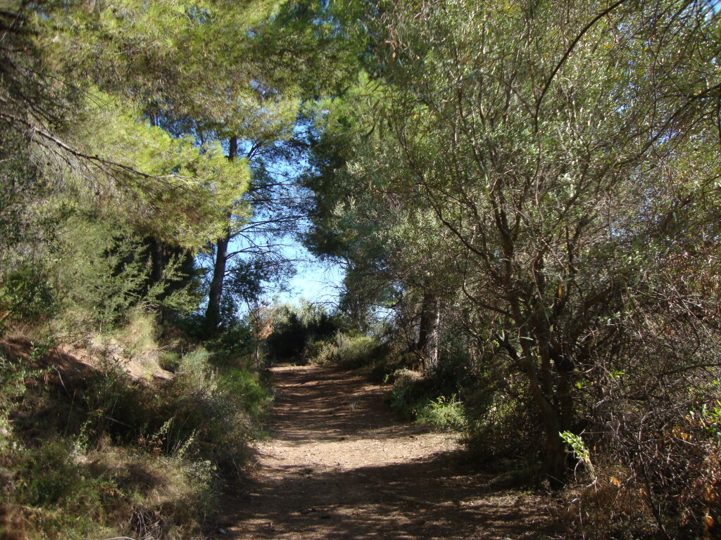 Imagen 1 de Suelo rústico en Venta en Callosa d En Sarria Alicante