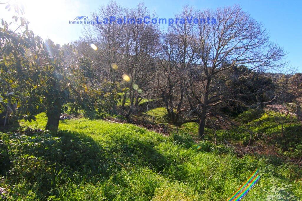 Imagen 2 de Casa de pueblo en Venta en Llano Negro Santa Cruz de Tenerife Imagen 2 de Casa de pueblo en Venta en Llano Negro Santa Cruz de Tenerife
