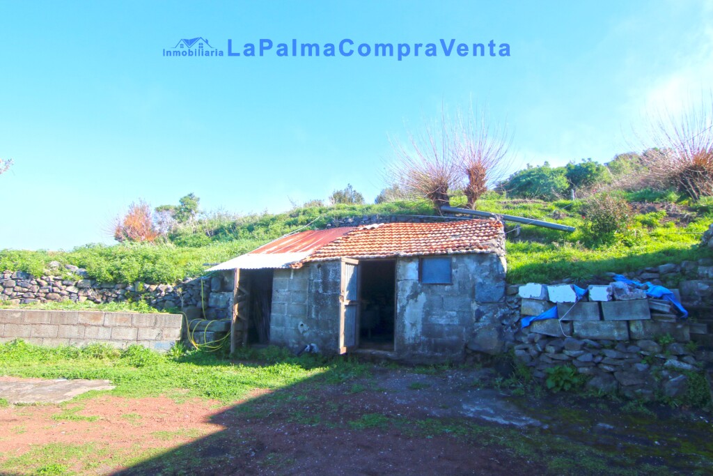 Imagen 4 de Casa de pueblo en Venta en Llano Negro Santa Cruz de Tenerife Imagen 4 de Casa de pueblo en Venta en Llano Negro Santa Cruz de Tenerife