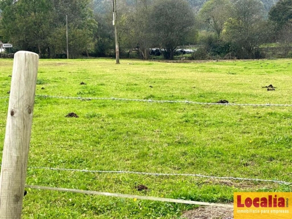 Imagen 2 de Interesante suelo urbano de 8 mil m² en Ruente