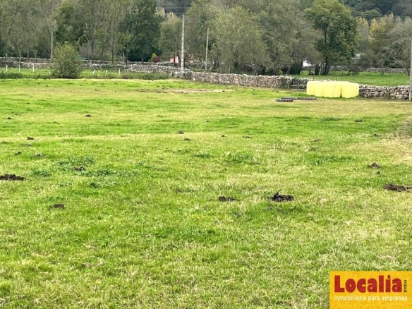 Imagen 3 de Interesante suelo urbano de 8 mil m² en Ruente