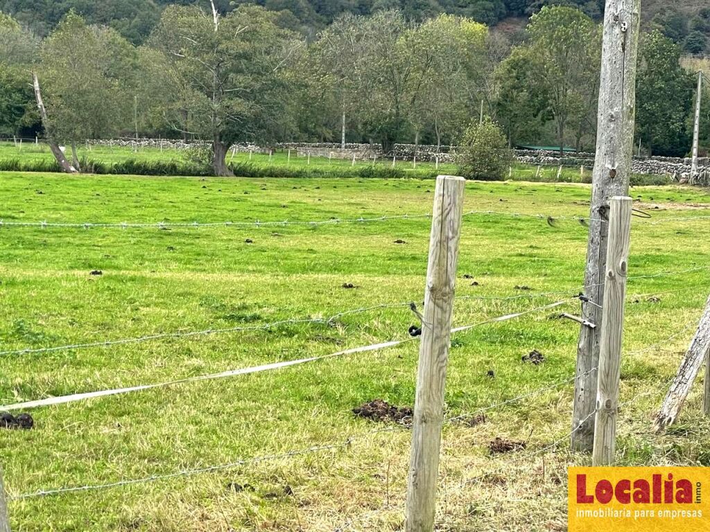 Imagen 4 de Interesante suelo urbano de 8 mil m² en Ruente