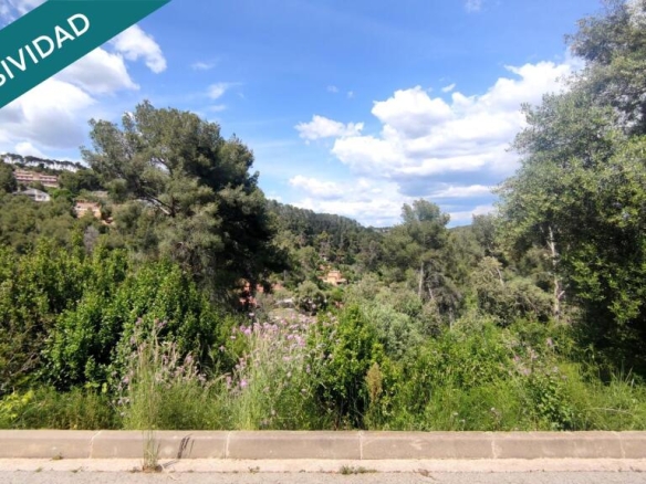 Imagen 4 de TERRENO DE 2300M2 EDIFICABLE EN CERVELLO.