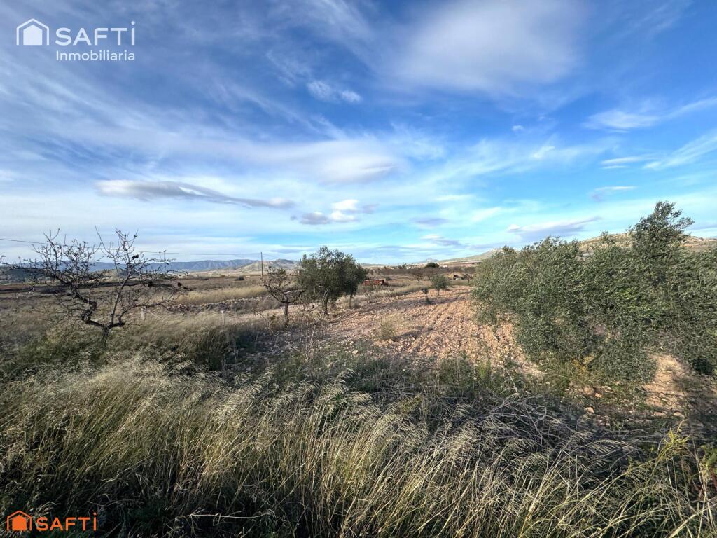 Imagen 2 de EXCLUSIVA OPORTUNIDAD – PARCELAS RÚSTICAS EN CASAS DE SANCHIS (MONOVAR) Imagen 2 de EXCLUSIVA OPORTUNIDAD – PARCELAS RÚSTICAS EN CASAS DE SANCHIS (MONOVAR)