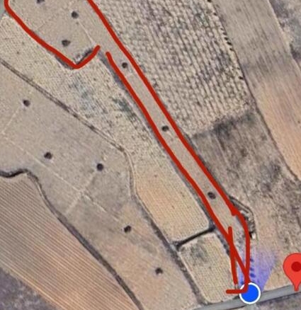 Imagen 4 de EXCLUSIVA OPORTUNIDAD – PARCELAS RÚSTICAS EN CASAS DE SANCHIS (MONOVAR)