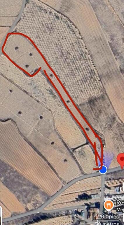 Imagen 4 de EXCLUSIVA OPORTUNIDAD – PARCELAS RÚSTICAS EN CASAS DE SANCHIS (MONOVAR) Imagen 4 de EXCLUSIVA OPORTUNIDAD – PARCELAS RÚSTICAS EN CASAS DE SANCHIS (MONOVAR)