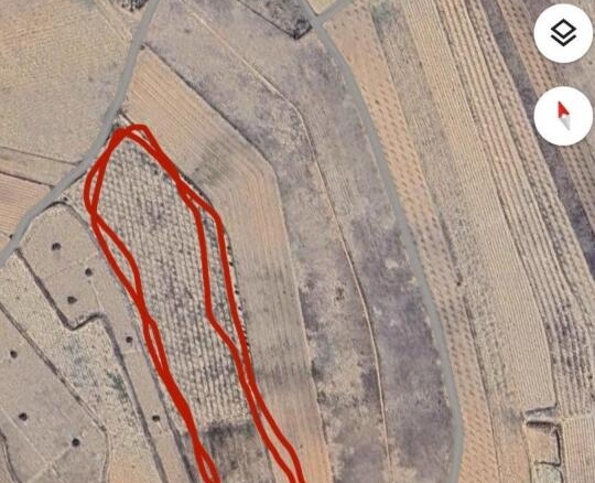 Imagen 1 de EXCLUSIVA OPORTUNIDAD – PARCELAS RÚSTICAS EN CASAS DE SANCHIS (MONOVAR)