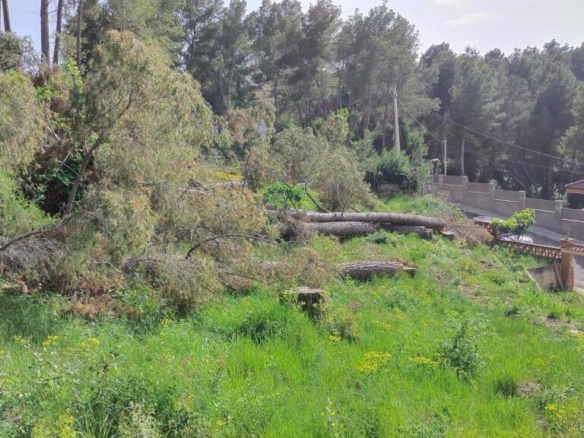 Imagen 2 de Solar urbano 780m² (Cabrera d’Anoia) ¡Naturaleza!