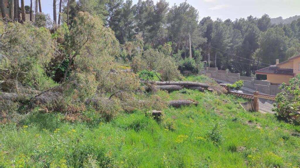 Imagen 2 de Solar urbano 780m² (Cabrera d’Anoia) ¡Naturaleza!