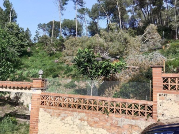 Imagen 4 de Solar urbano 780m² (Cabrera d’Anoia) ¡Naturaleza!