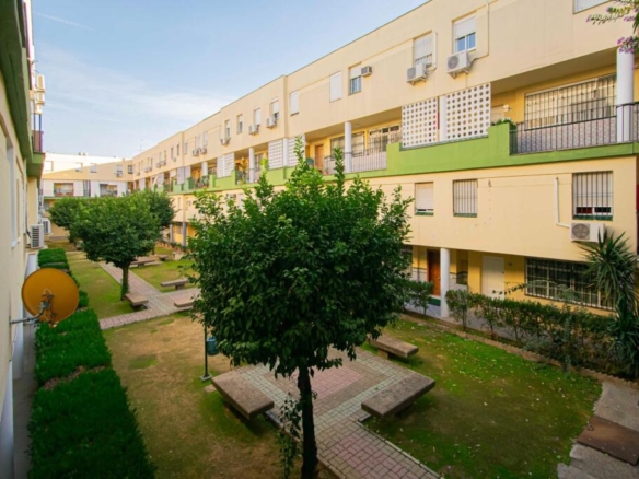 Imagen 2 de Piso en venta en Pino Montano