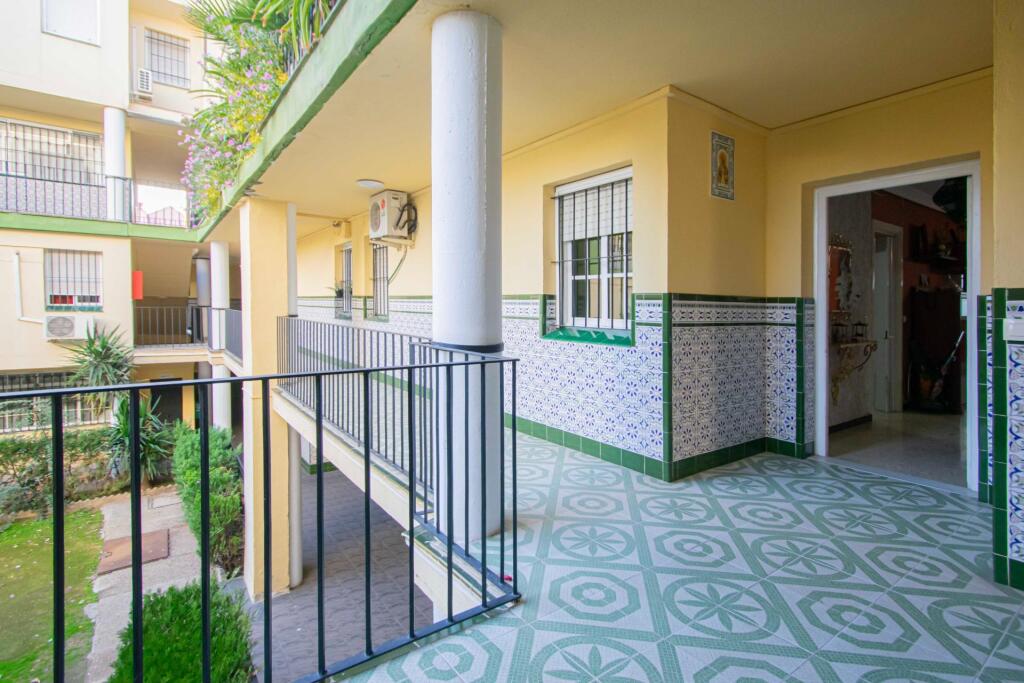 Imagen 3 de Piso en venta en Pino Montano Imagen 3 de Piso en venta en Pino Montano