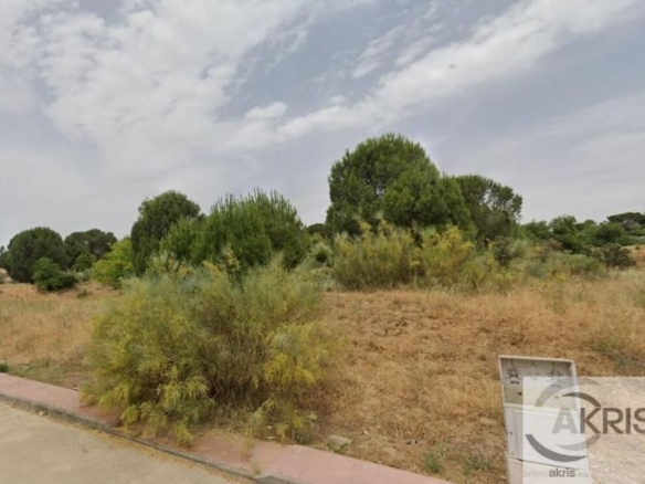 Imagen 2 de VENTA TERRENO URBANIZABLE EN PELAYOS DE LA PRESA