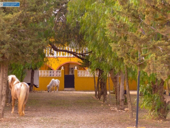 Imagen 2 de Venta de casa con 9 dormitorios y terreno de 11.000 m2 en el campo en Fuente Alamo